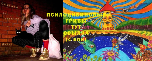 метадон Белокуриха