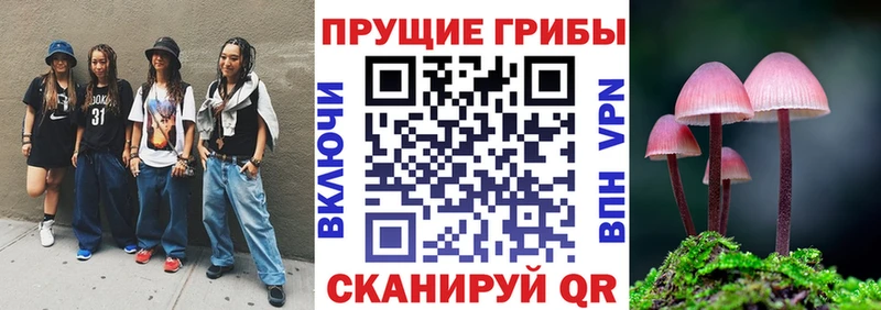 Псилоцибиновые грибы мицелий  мега ссылки  Велиж 